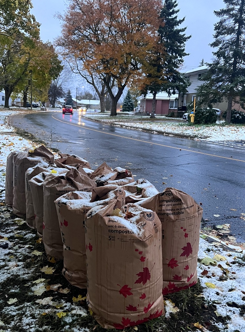 Curbside Composting and Leaf Collection