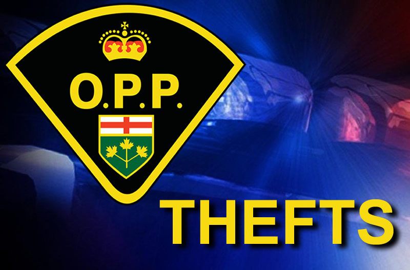 Opp Looking For Public Assistance With Theft Investigation In Prescott 